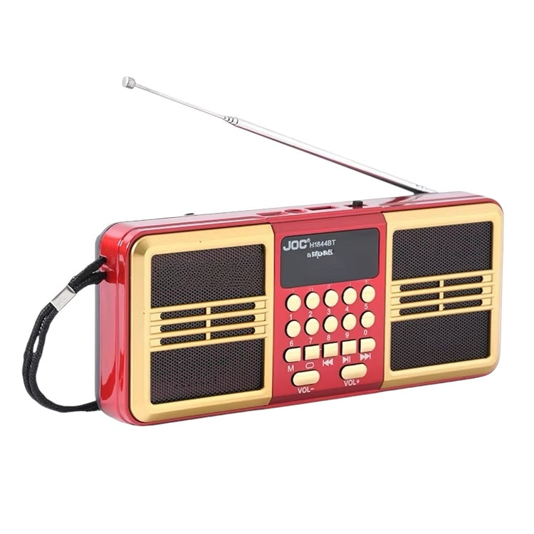 Portable FM Radio & MP3 Player with 2000 Hours Gurbani Recording, USB, Bluetooth & Dual Speaker