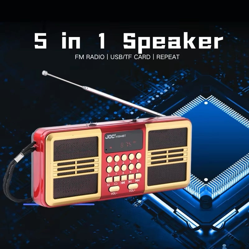 Portable FM Radio & MP3 Player with 2000 Hours Gurbani Recording, USB, Bluetooth & Dual Speaker