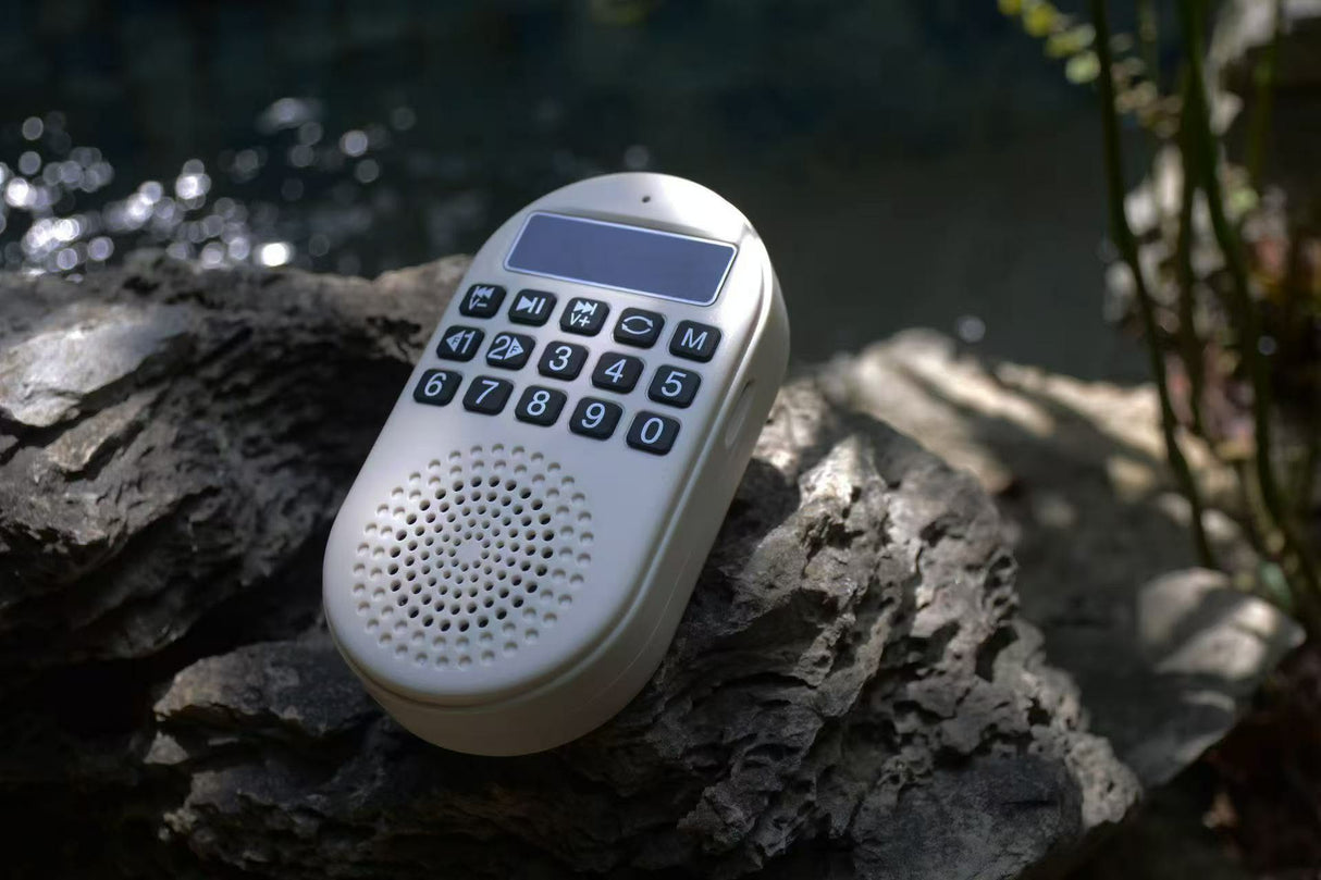 16GB Preloaded Sikh Nitnem Wall Plug-In Audio Player – Japji Sahib, Rehras Sahib, Sukhmani Sahib & More